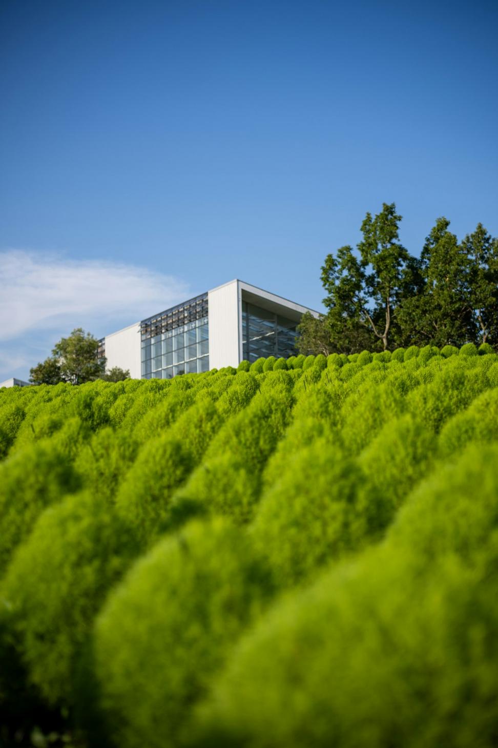 Sustainability efforts